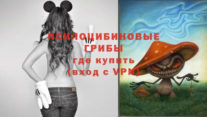 Галлюциногенные грибы Magic Shrooms  Мытищи 